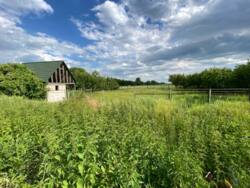 продаж земельної ділянки фото 6 продаж земельної ділянки фото 6