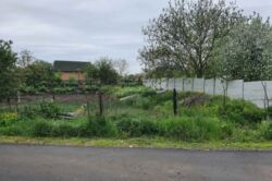 Продаж земельно ділянки, Заріччя фото 3 Продаж земельно ділянки, Заріччя фото 3