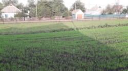 Продаж земельної ділянки фото 1 Продаж земельної ділянки фото 1