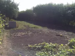 ������ ������ �. ����볿��� ���� 3