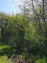 Продаж ділянки, с.Пищики фото 2 Продаж ділянки, с.Пищики фото 2