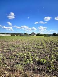 Продаж ділянки, с.Томилівка фото 2 Продаж ділянки, с.Томилівка фото 2