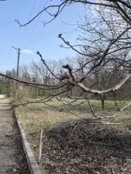 Продаж ділянки, с.Трушки фото 4 Продаж ділянки, с.Трушки фото 4