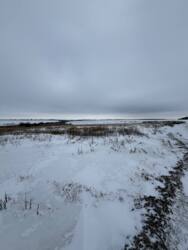 ������ �������� ������ ���� 8