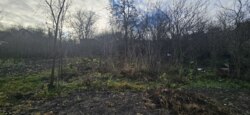 Продаж ділянки, с. Коженики фото 1 Продаж ділянки, с. Коженики фото 1