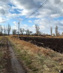 Продаж ділянки, с.Пилипча фото 2 Продаж ділянки, с.Пилипча фото 2