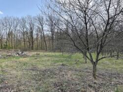 Продаж ділянки, с.Трушки фото 2 Продаж ділянки, с.Трушки фото 2