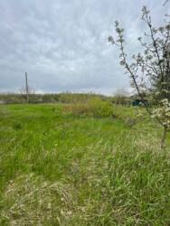 Продаж ділянки, Гайок фото 1 Продаж ділянки, Гайок фото 1