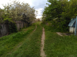 Продаж земельної ділянки, ст. Роток фото 3 Продаж земельної ділянки, ст. Роток фото 3