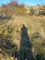 Продаж земельної ділянки, с. Чепеліївка фото 5 Продаж земельної ділянки, с. Чепеліївка фото 5