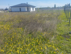 Продаж замельної ділянки, Військбуд фото 3 Продаж замельної ділянки, Військбуд фото 3