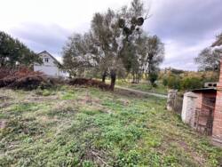 ������ ������, �.������ ������ ���� 1