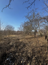 Продаж земельної ділянки, с.Мазепинці фото 1 Продаж земельної ділянки, с.Мазепинці фото 1