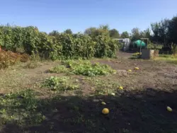 ������ ������ �. ����볿��� ���� 1