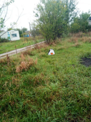 Продаж земельної ділянки, с. Чепеліївка фото 1 Продаж земельної ділянки, с. Чепеліївка фото 1