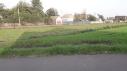 Продаж земельної ділянки фото 4 Продаж земельної ділянки фото 4