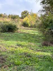 ������ ������, �.������ ������ ���� 1