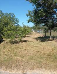 Продаж дачної ділянки у Фурсах (Кооператив Феоніт) фото 1 Продаж дачної ділянки у Фурсах (Кооператив Феоніт) фото 1