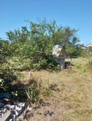 Продаж дачної ділянки у Фурсах (Кооператив Феоніт) фото 3 Продаж дачної ділянки у Фурсах (Кооператив Феоніт) фото 3