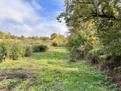 ������ ������, �.������ ������ ���� 2