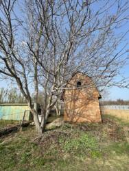 Продаж ділянки, с.Трушки. фото 1 Продаж ділянки, с.Трушки. фото 1