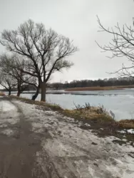 Продаж земельної ділянки, Шевченка фото 4 Продаж земельної ділянки, Шевченка фото 4