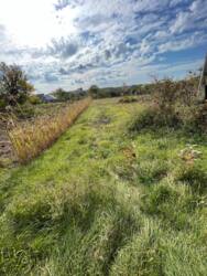 Продаж ділянки, с.Томилівка фото 4 Продаж ділянки, с.Томилівка фото 4