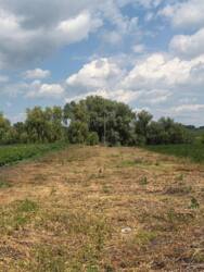 Продаж ділянки, с.Соколівка фото 2 Продаж ділянки, с.Соколівка фото 2
