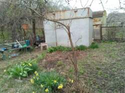 Продається дачний участок фото 1 Продається дачний участок фото 1