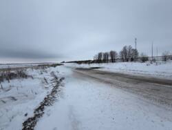 ������ �������� ������ ���� 12