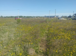 Продаж замельної ділянки, Військбуд фото 2 Продаж замельної ділянки, Військбуд фото 2