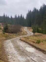 Продаж земельної ділянки, Івано-Франківська обл. фото 2 Продаж земельної ділянки, Івано-Франківська обл. фото 2