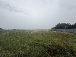 Продаж видової земельної ділянки під забудову будинку в Шкарівці фото 5 Продаж видової земельної ділянки під забудову будинку в Шкарівці фото 5