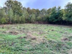 ������ ������, �.������ ������ ���� 4