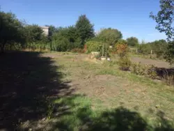 ������ ������ �. ����볿��� ���� 2