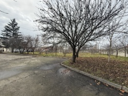 �������� ������, 21 �����, �������� ��������� ���� 4