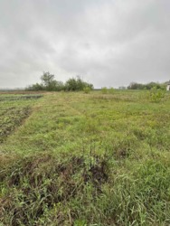 Продаж ділянки, с.Чепеліївка фото 2 Продаж ділянки, с.Чепеліївка фото 2