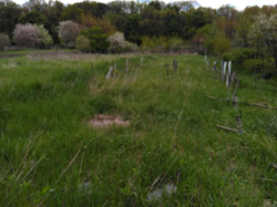 Продаж земельної ділянки, ст. Роток фото 2 Продаж земельної ділянки, ст. Роток фото 2