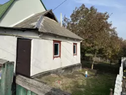 Продаж земельної ділянки, Шевченка фото 16 Продаж земельної ділянки, Шевченка фото 16