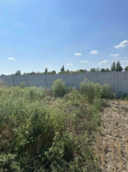 Продаж земельної ділянки, с. Шкарівка фото 4 Продаж земельної ділянки, с. Шкарівка фото 4