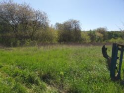 Продаж ділянки, с.Пищики фото 1 Продаж ділянки, с.Пищики фото 1