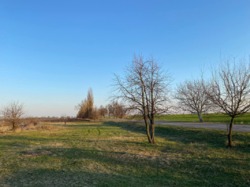 Зем.Діл Приват 1.3587 га Траса Київ Одеса фото 4 Зем.Діл Приват 1.3587 га Траса Київ Одеса фото 4