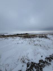 ������ �������� ������ ���� 5