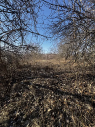 Продаж земельної ділянки, с.Мазепинці фото 5 Продаж земельної ділянки, с.Мазепинці фото 5