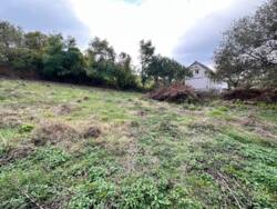 ������ ������, �.������ ������ ���� 2