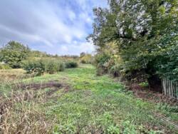 ������ ������, �.������ ������ ���� 4