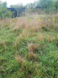 Продаж земельної ділянки, с. Чепеліївка фото 2 Продаж земельної ділянки, с. Чепеліївка фото 2