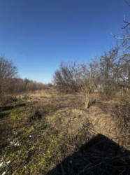 Продаж земельної ділянки, с.Мазепинці фото 2 Продаж земельної ділянки, с.Мазепинці фото 2