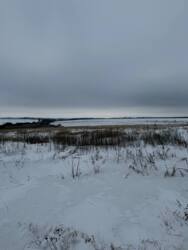 ������ �������� ������ ���� 9