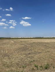 Продаж земельної ділянки, с. Шкарівка фото 3 Продаж земельної ділянки, с. Шкарівка фото 3